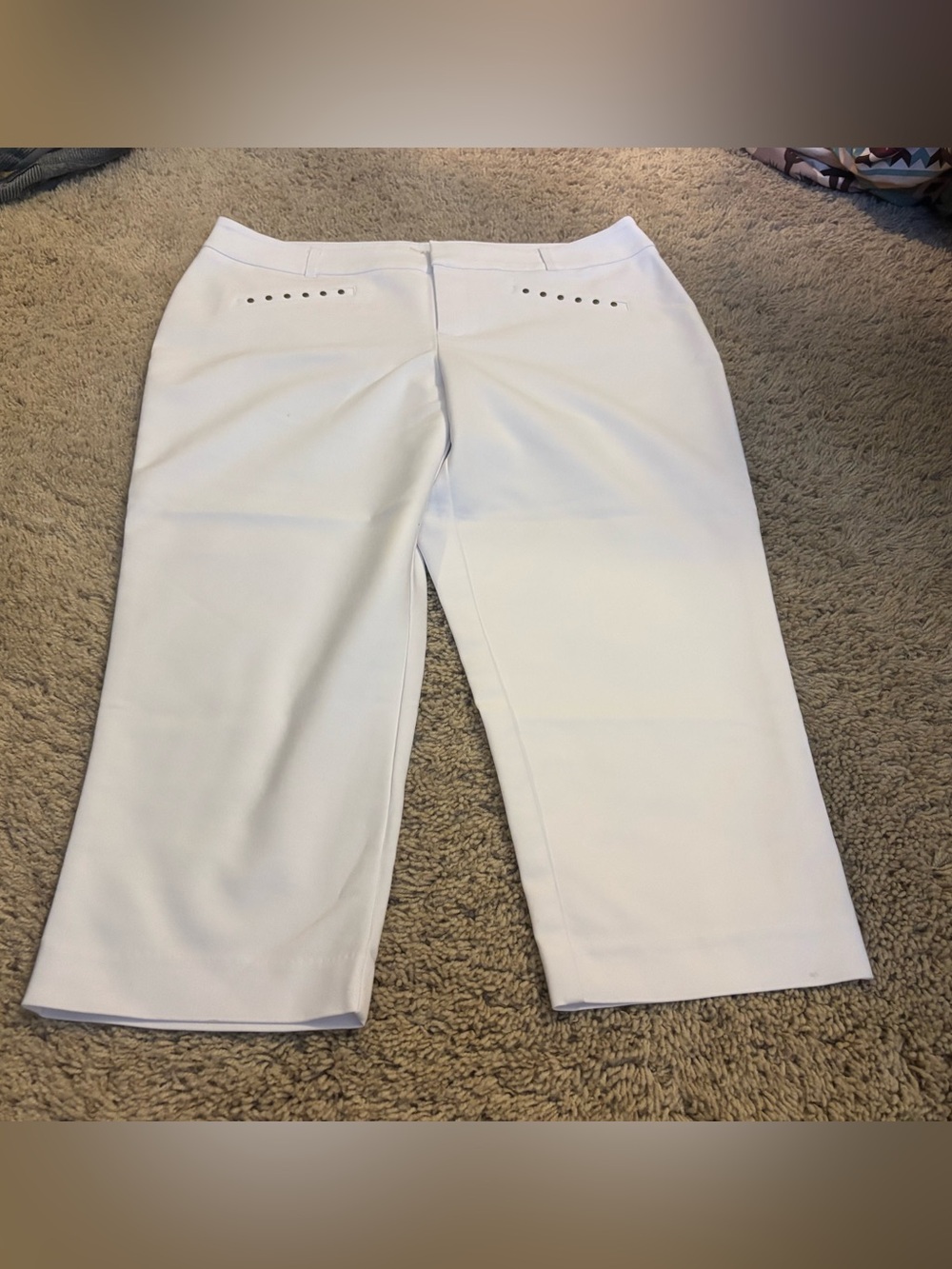 Dress pants